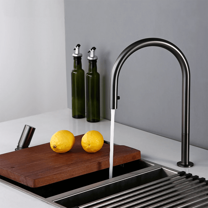 Calé 2-Hole Kitchen Faucet With Pull Out Spout