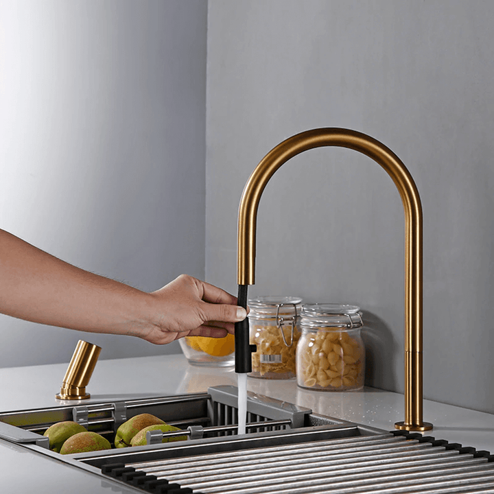 Calé 2-Hole Kitchen Faucet With Pull Out Spout