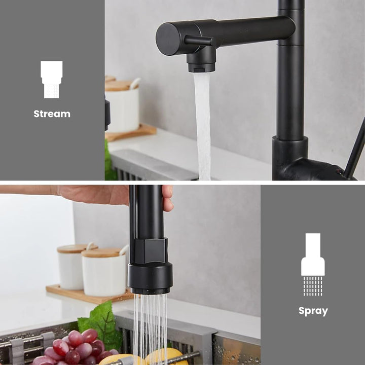 Kitchen Faucet with Sprayer Matte Black